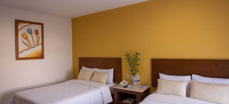 阿科斯机场酒店(Hotel Arcos Aeropuerto)图片