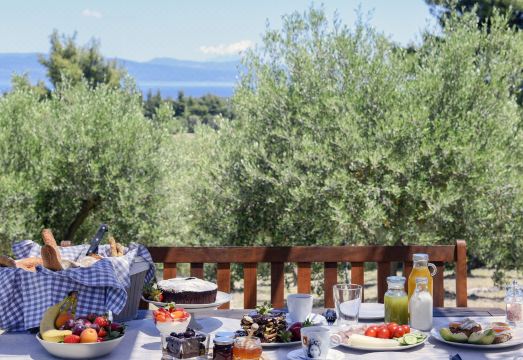 Kopana Resort Hotel Overview