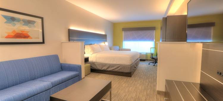 智选假日套房酒店移动/ 萨拉兰德(Holiday Inn Express & Suites Mobile/Saraland)图片