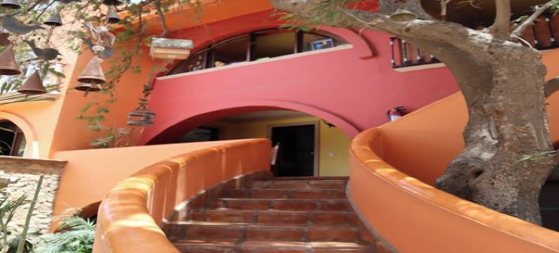 精选 O 卡波圣卢卡斯贝拉之家精品酒店(Collection O Casa Bella Hotel Boutique, Cabo San Lucas)图片