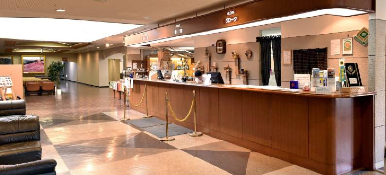 溪谷泷上町酒店(Takinoue Hotel Keikoku)图片