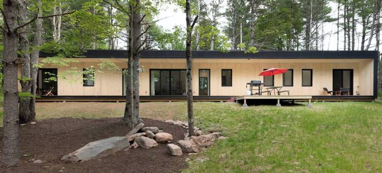 100英尺森林之光 - 现代卡茨基尔度假屋(100ft of Forest Light - Modern Catskills Escape)图片