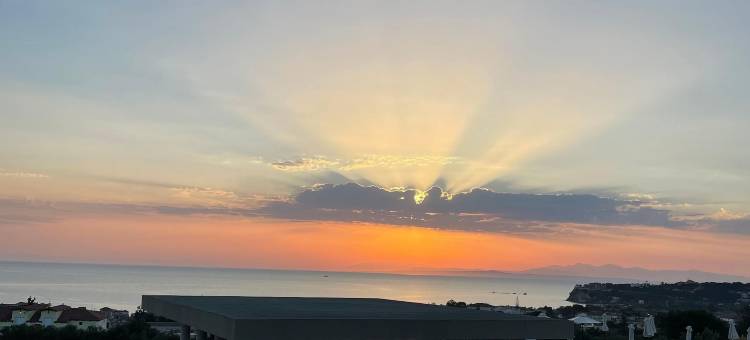 为成人设计的King Jason Zante(King Jason Zante – Designed for Adults)图片