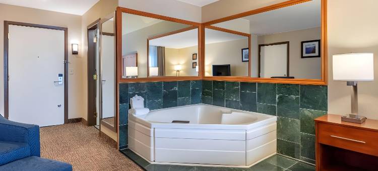 舒适套房酒店(Comfort Inn & Suites)图片