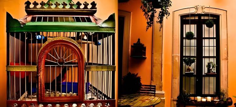 泰特卡索娜酒店(La Casona de Tete)图片