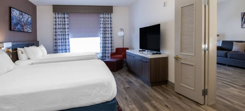 哈蒂斯堡希尔顿花园酒店(Hilton Garden Inn Hattiesburg)图片