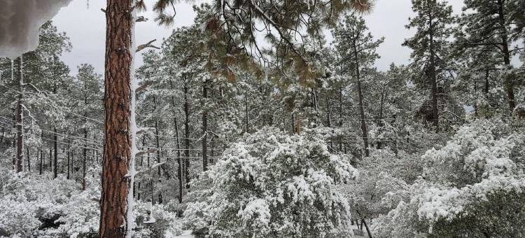 Spacious 4Br Cabin, Forest View Great Room • Game Room • 2 Acres • Near Prescott图片
