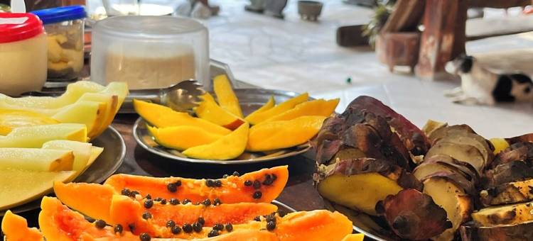 Aly da Costa工作室客栈(Pousada Atelier Aly da Costa)图片