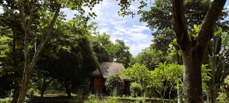 拜县班柯拉庭度假酒店(Baan Krating Pai Resort)图片