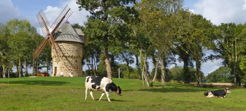 Windmill Stay near Goelo Coast Beaches图片