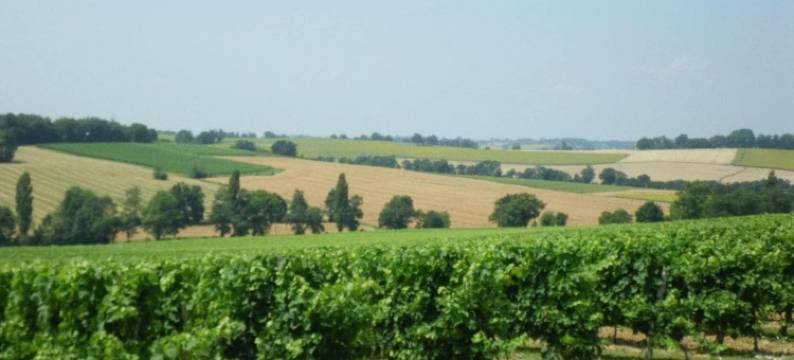 Oakwood Hideaway Stay图片