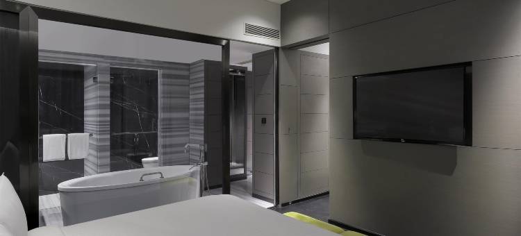 金奈沙米耶尔路诺富特酒店(Novotel Chennai Chamiers Road)图片