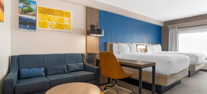 加斯托尼亚-夏洛特舒适套房酒店(Comfort Suites Gastonia - Charlotte)图片