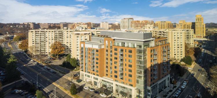 威斯汀水晶市雷根国家机场酒店(The Westin Crystal City Reagan National Airport)图片
