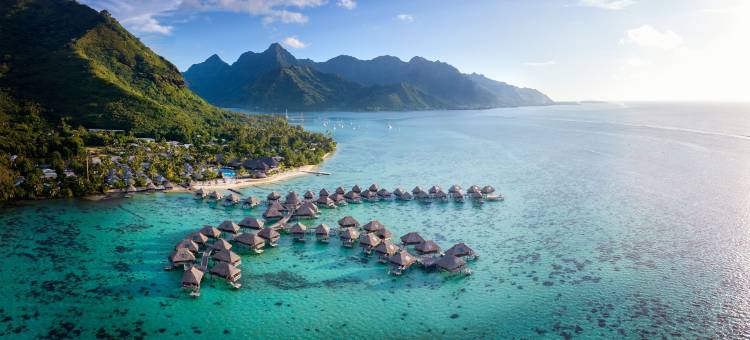 茉莉亚礁湖希尔顿度假酒店及水疗中心(Hilton Moorea Lagoon Resort and Spa)图片