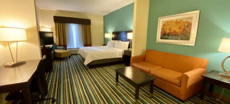 智选假日套房酒店奥兰多东(Holiday Inn Express & Suites ORLANDO EAST-UCF AREA by IHG)图片