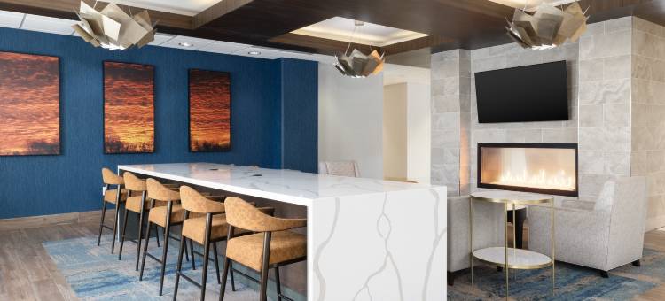 汉诺威阿伦德尔米尔斯BWI机场Homewood Suites by Hilton(Homewood Suites by Hilton Hanover Arundel Mills BWI Airport)图片