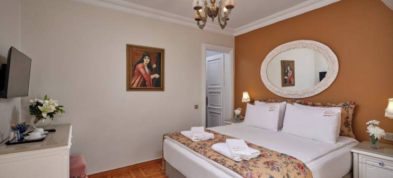 1207酒店特别级-苏丹艾哈迈德(1207 Hotel Special Class Sultanahmet)图片