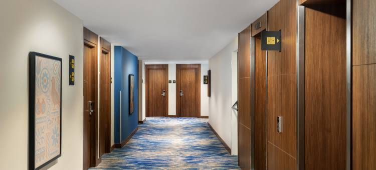 希尔顿欢朋酒店伊斯坦布尔 希斯利(Hampton by Hilton Istanbul Sisli)图片