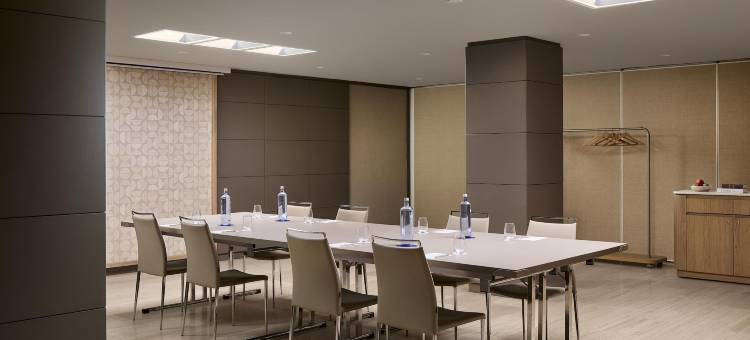 NH酒店-帕萨奥哈瓦那(NH Madrid Paseo de la Habana)图片