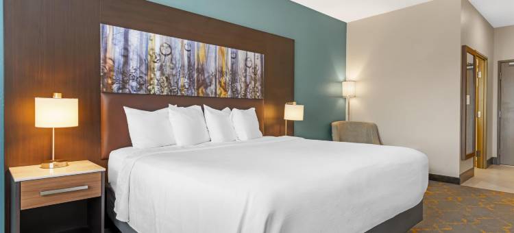 贝斯特韦斯特优质艾桑提优质酒店(Best Western Plus Isanti)图片