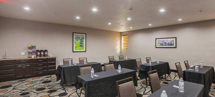 舒适套房酒店-李维斯维尔(Comfort Suites Lewisville)图片