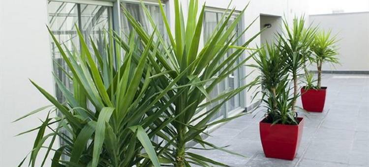 大教堂路口探索酒店(Quest Cathedral Junction Serviced Apartments)图片