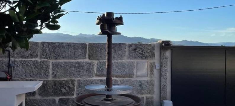 Cepas Da Cuenga图片