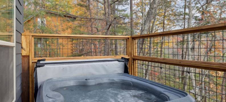 全新热水浴缸投斧火坑街机(Green & Black Bear Cabins by Beyond Expectations)图片