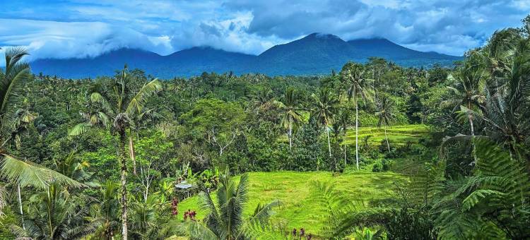 四山别墅贝都古尔(Four Mountains Villa Bedugul)图片