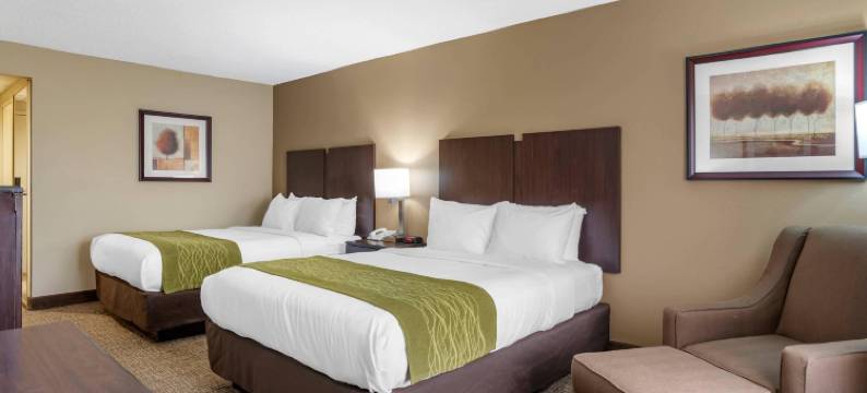 珀尔-杰克逊舒适酒店(Comfort Inn Pearl-Jackson)图片