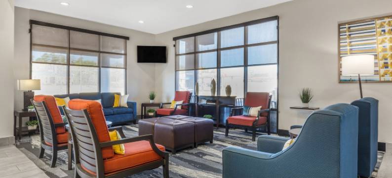 纳可杜契斯舒适全套房酒店(Comfort Suites Nacogdoches)图片