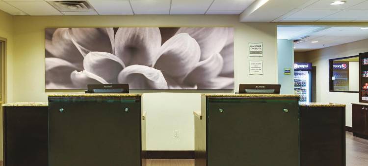 坦帕北I-75舒适套房酒店(Comfort Inn & Suites Tampa North I-75)图片