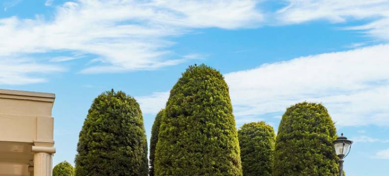 德拉敦门户(Gateway Dehradun)图片