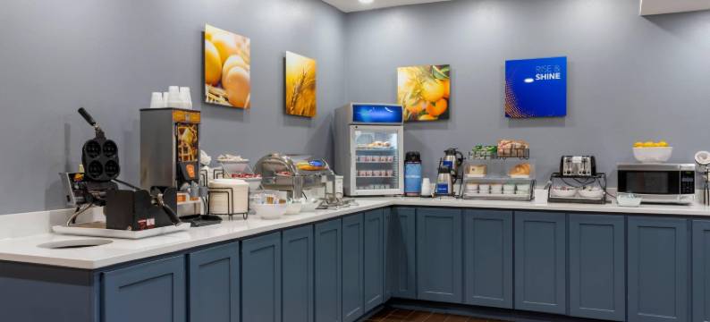 温泉城中城舒适套房酒店(Comfort Inn & Suites Hot Springs Midtown)图片