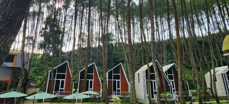 英斯皮拉小屋(Inspira Cabin)图片