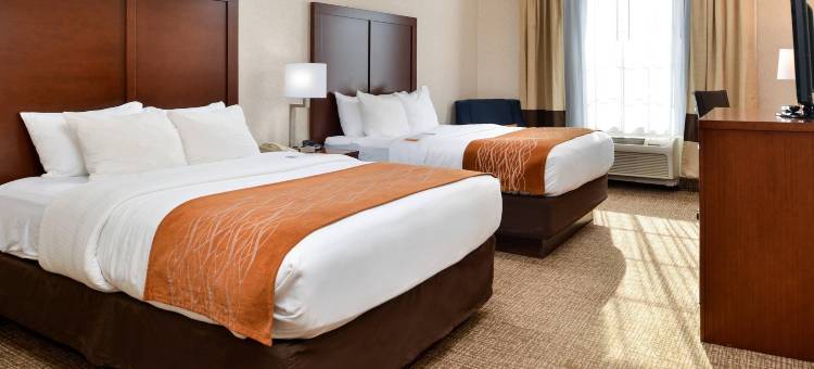 舒适套房酒店-麦迪逊北部(Comfort Inn & Suites Madison North)图片