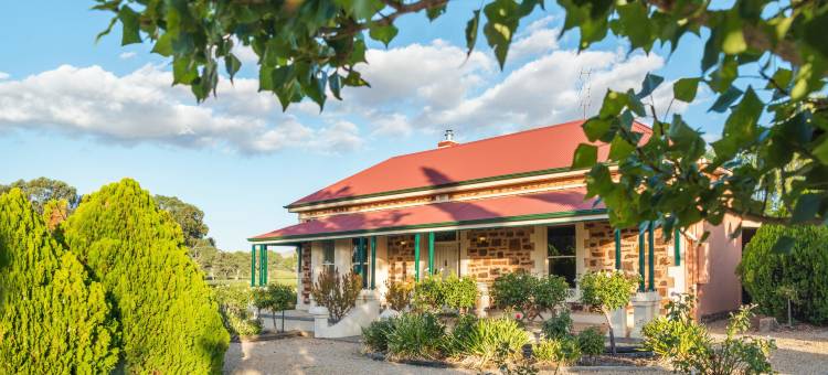 巴罗莎设拉子酒店(Barossa Shiraz Estate)图片