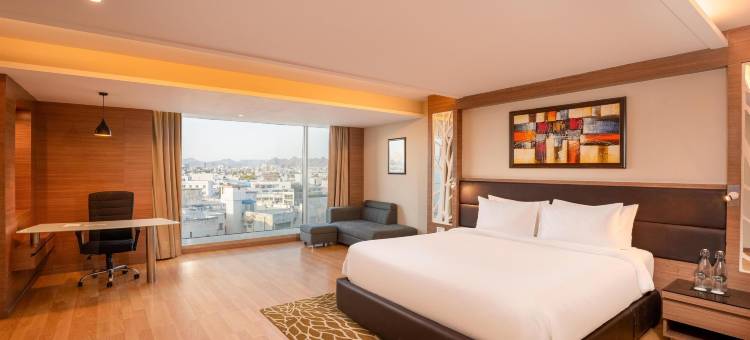 乌代布尔丽筠酒店(Radisson Udaipur)图片