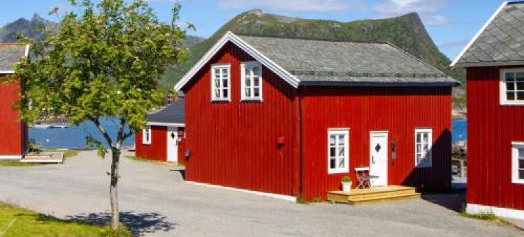 Astra Whale——罗弗敦群岛海滨精品青年旅舍(Astra Whale - Waterfront Boutique Hostel, Lofoten)图片