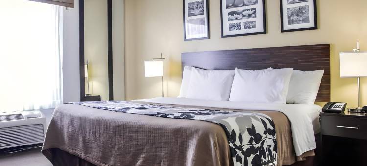 廷利帕尔克I80-近露天剧场-会议中心舒眠酒店(Sleep Inn Tinley Park I-80 Near Amphitheatre-Convention Center)图片