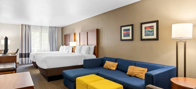 城中舒适套房酒店(Comfort Inn & Suites Midtown)图片