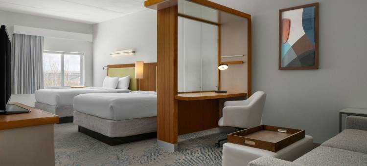 查尔斯顿芒特普莱森特万豪SpringHill Suites酒店(SpringHill Suites Charleston Mount Pleasant)图片