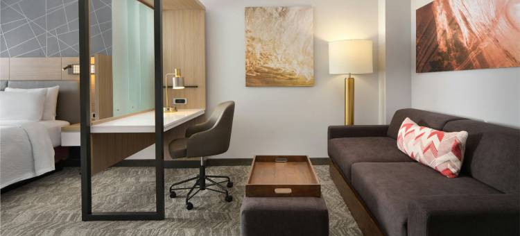 杰克逊维尔贝梅多斯SpringHill Suites酒店(SpringHill Suites Jacksonville Baymeadows)图片