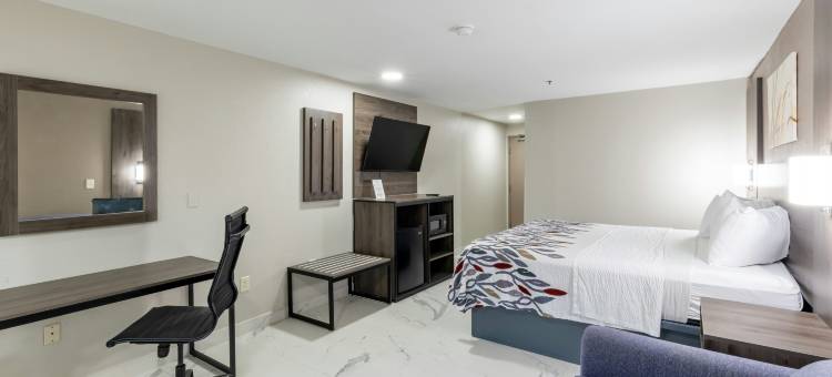 麦卡伦法尔红顶酒店(Red Roof Inn Pharr - McAllen)图片
