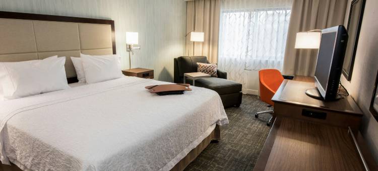 奥尔巴尼西大街大学区欢朋酒店(Hampton Inn Albany-Western Ave/University Area)图片