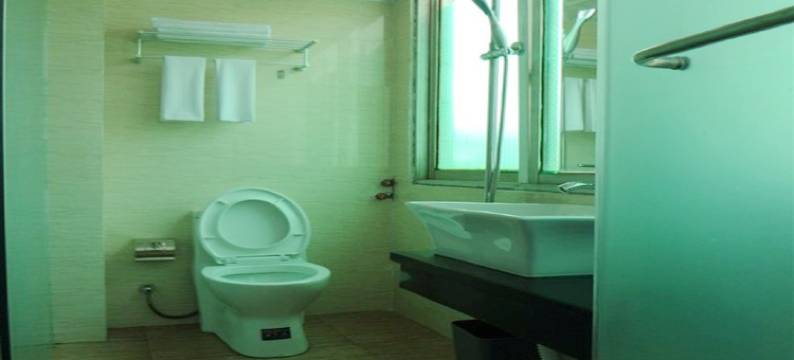 剑阁嘉城宾馆图片