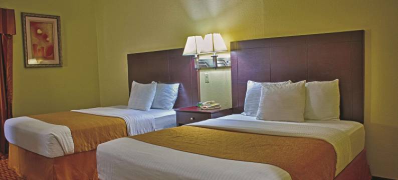 艾丽斯拉昆塔温德姆套房酒店(La Quinta Inn & Suites by Wyndham Alice)图片