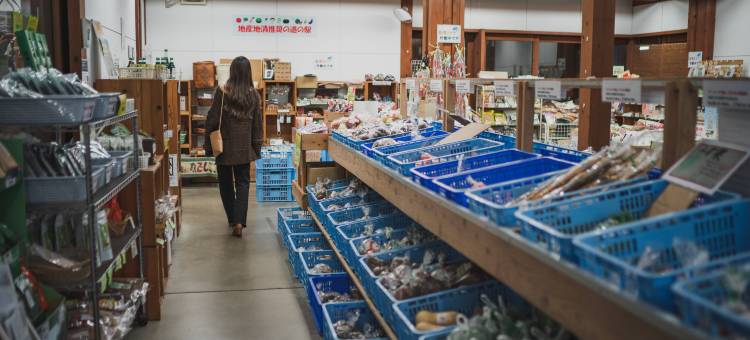 岐阜美浓万枫酒店(Fairfield by Marriott Gifu Mino)图片