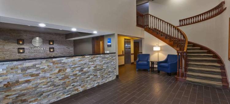 舒适套房酒店(Comfort Inn & Suites)图片